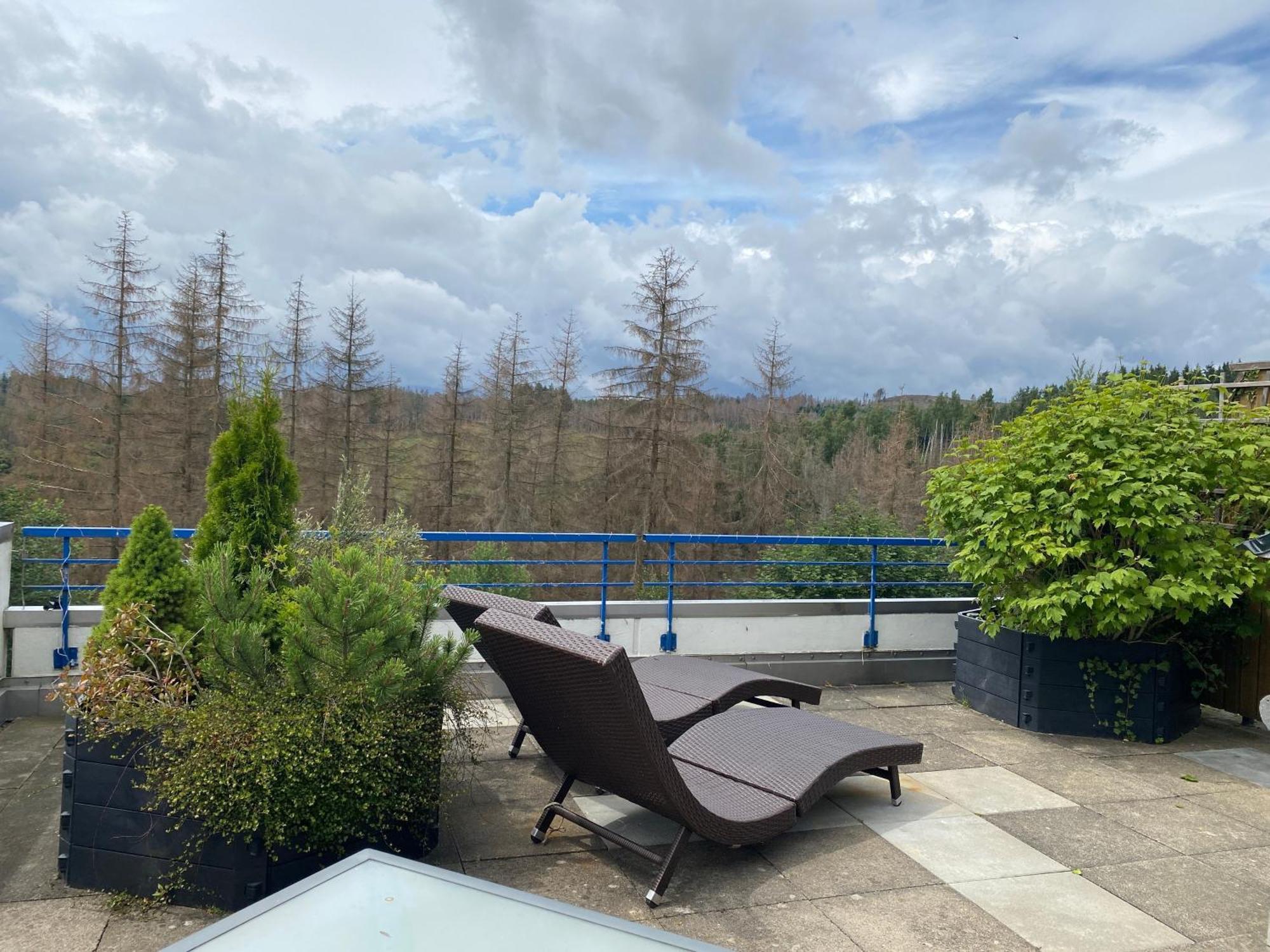 Ferienwohnung Harz #3, Pool, Sauna, Wlan Hohegeiß Extérieur photo